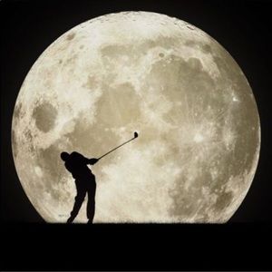 Meet your Posher, Dawn marie